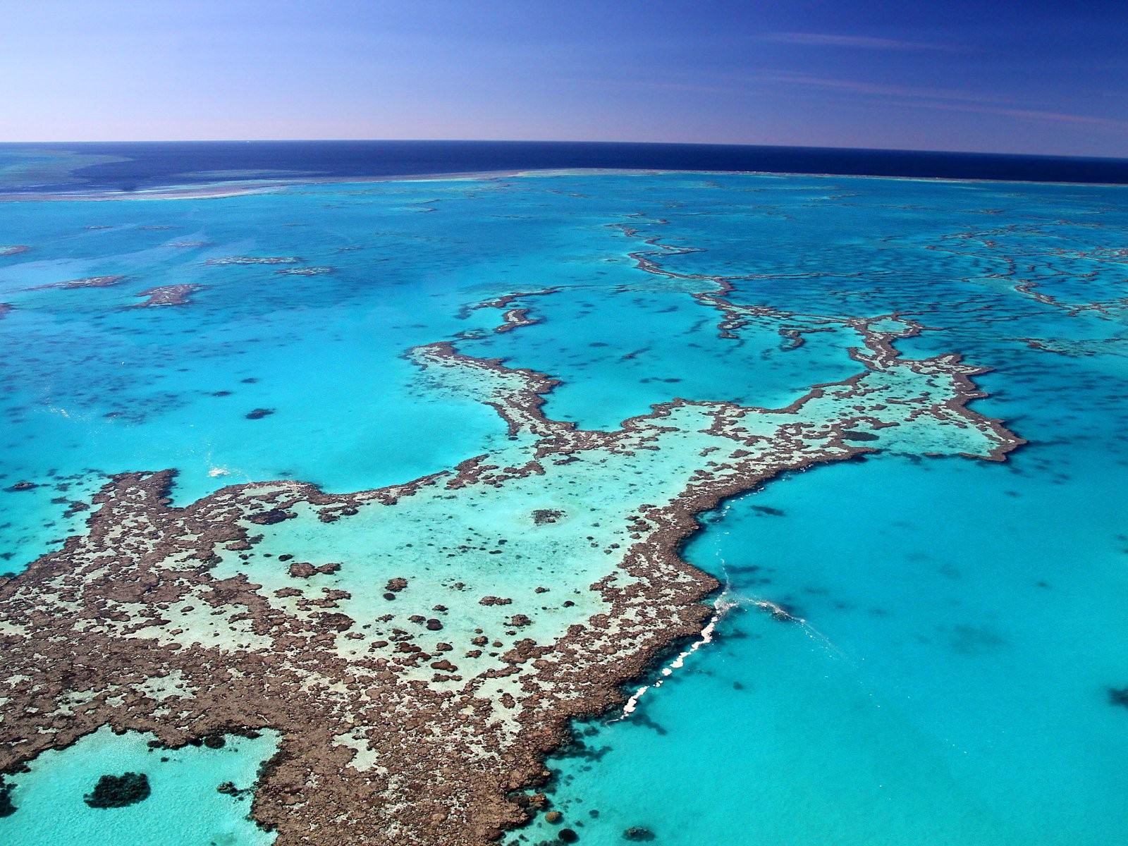 La Grande Barriera Corallina Agenzia Viaggi Online e Tour Operator