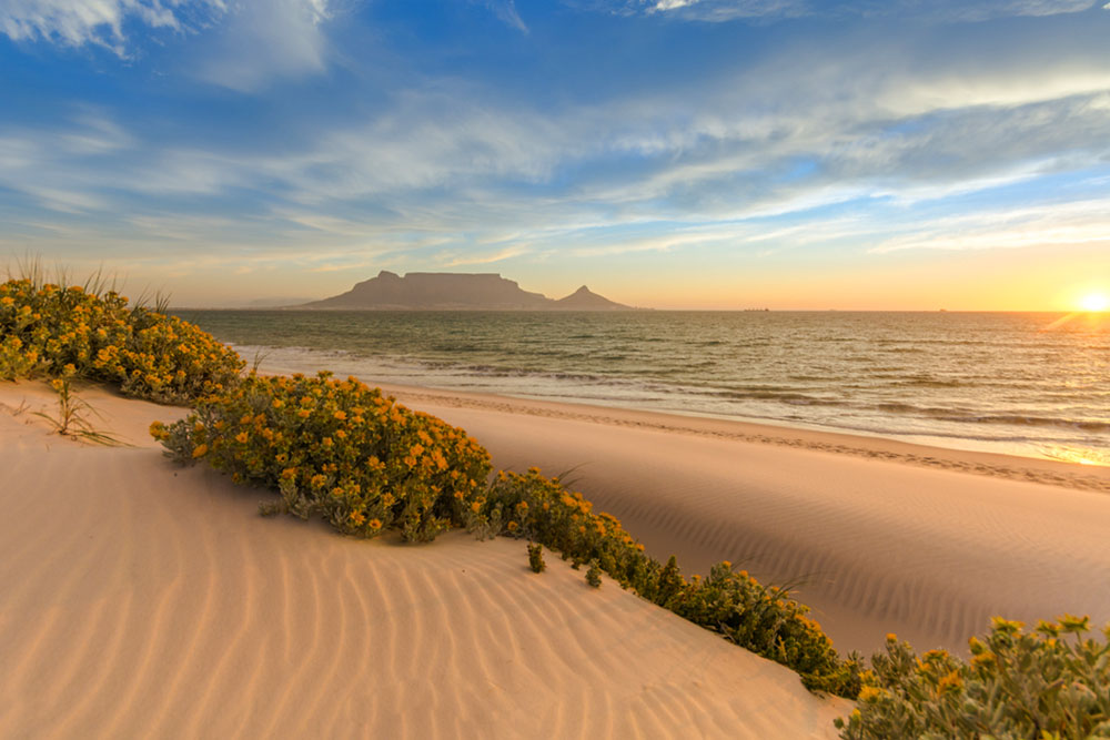 Viaggio in Sudafrica: Cape Town