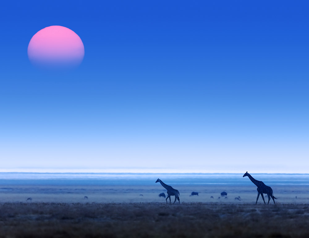 Etosha National Park