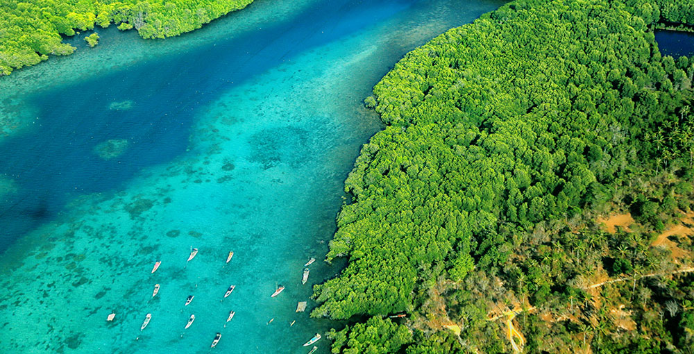 Isola di Giava