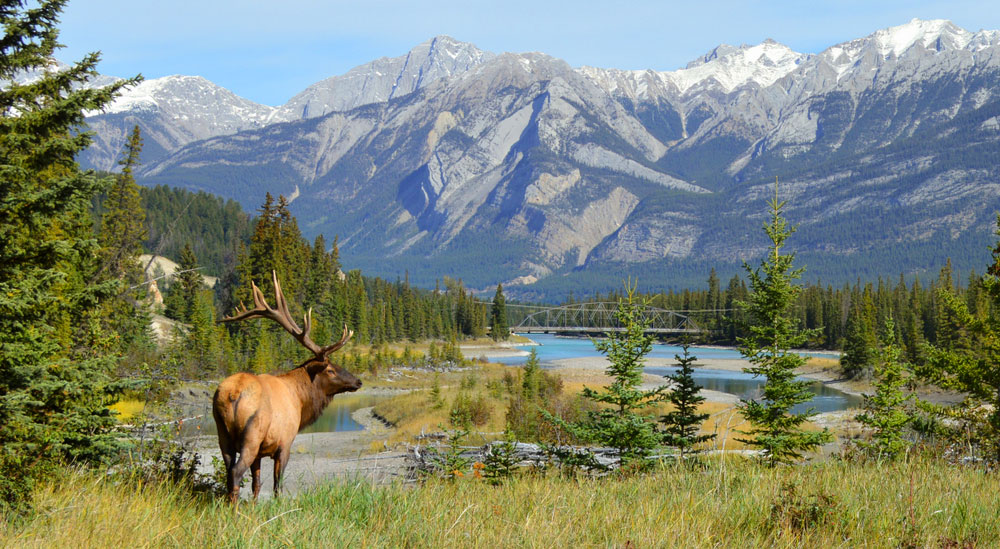 Parchi Naturali Canada