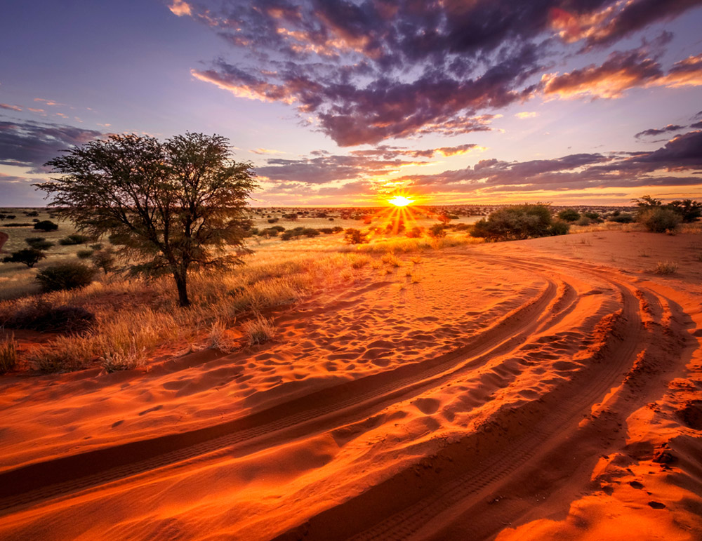 Kalahari