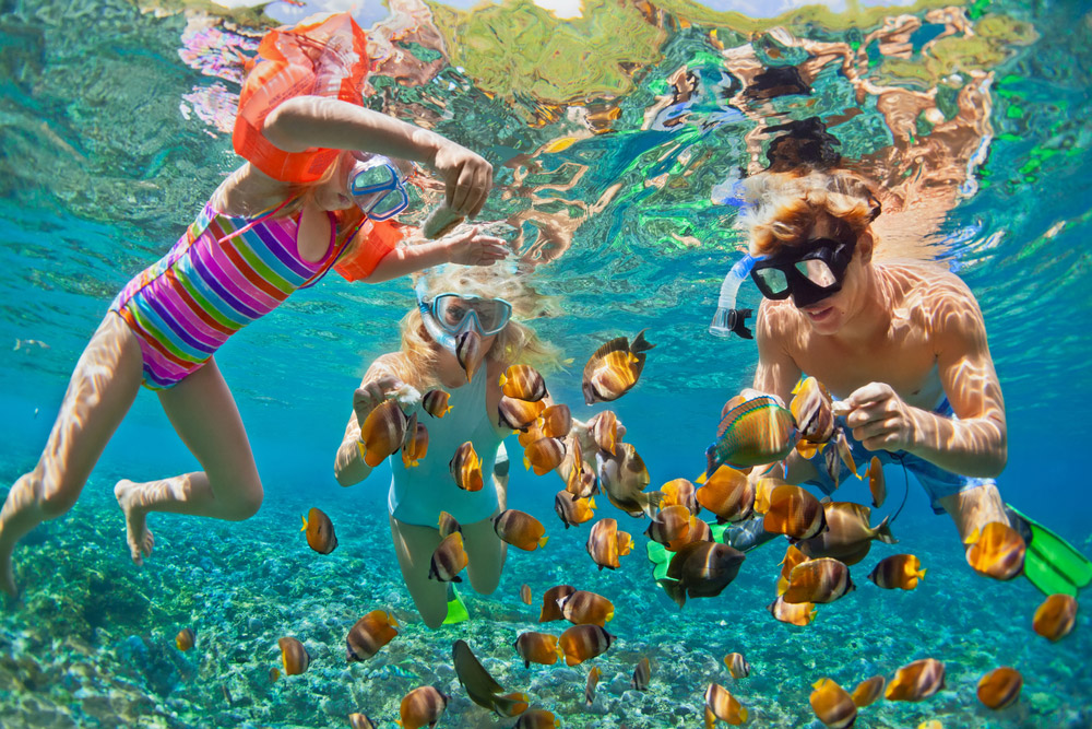 Snorkeling barriera corallina Zanzibar