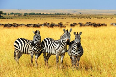 Viaggi Tanzania Viaggi Tanzania