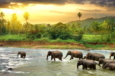 Viaggi Alla scoperta dello Sri Lanka Viaggi Alla scoperta dello Sri Lanka