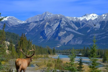 Viaggi Canada Viaggi Canada