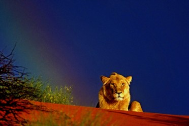 Viaggi Sposarsi in Namibia Viaggi Sposarsi in Namibia