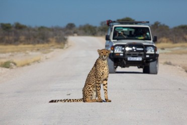 Viaggi Scopri la Namibia in auto